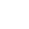 Project Control officer
