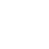 Project Manager Officer