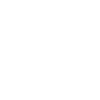Videographers